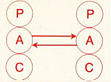 Transactional Analysis Basic Diagram Adult to Adult
